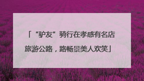 “驴友”骑行在孝感有名店旅游公路，路畅景美人欢笑