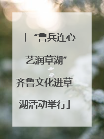 “鲁兵连心 艺润草湖”齐鲁文化进草湖活动举行
