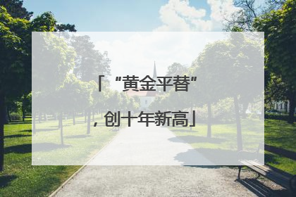 “黄金平替”，创十年新高