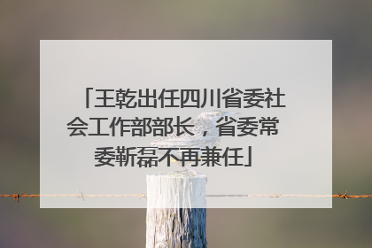王乾出任四川省委社会工作部部长，省委常委靳磊不再兼任