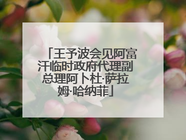 王予波会见阿富汗临时政府代理副总理阿卜杜·萨拉姆·哈纳菲