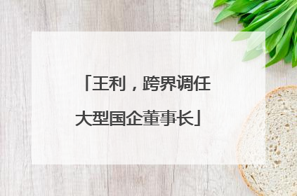 王利，跨界调任大型国企董事长