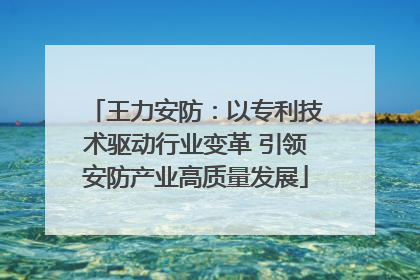 王力安防：以专利技术驱动行业变革 引领安防产业高质量发展