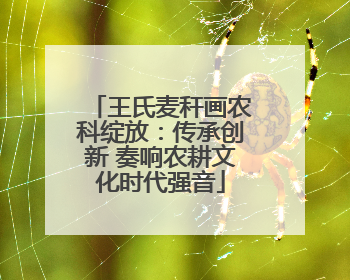 王氏麦秆画农科绽放：传承创新 奏响农耕文化时代强音