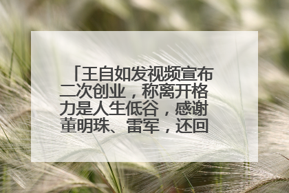 王自如发视频宣布二次创业，称离开格力是人生低谷，感谢董明珠、雷军，还回应了“工资条”：清楚自己要什么……