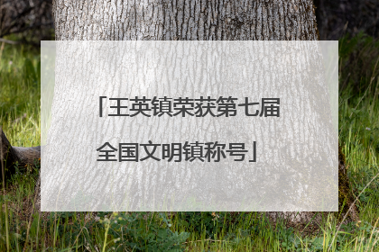 王英镇荣获第七届全国文明镇称号