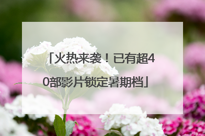 火热来袭！已有超40部影片锁定暑期档