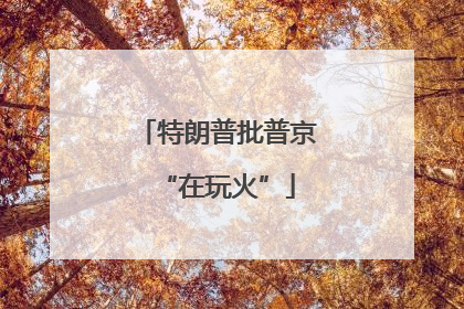 特朗普批普京“在玩火”