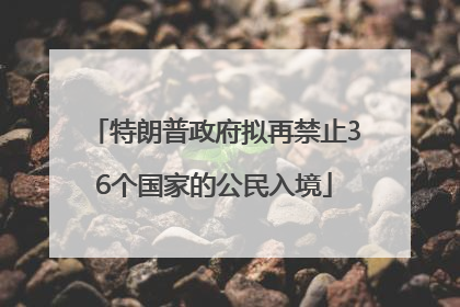 特朗普政府拟再禁止36个国家的公民入境