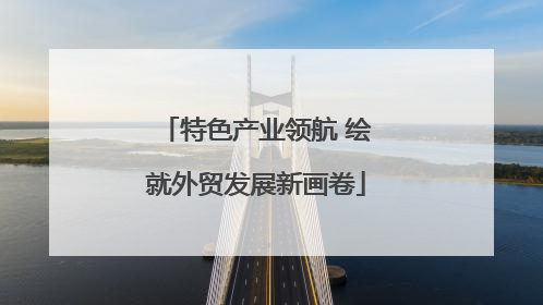 特色产业领航 绘就外贸发展新画卷