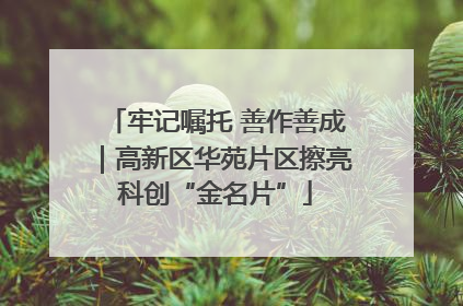 牢记嘱托 善作善成｜高新区华苑片区擦亮科创“金名片”