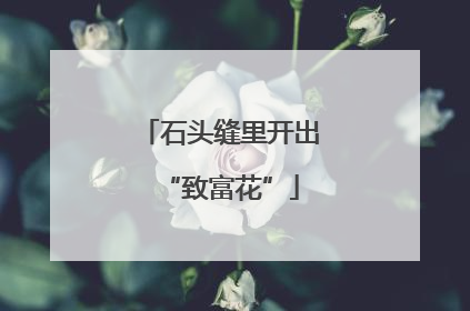 石头缝里开出“致富花”