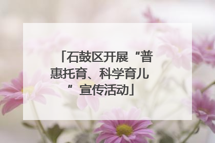 石鼓区开展“普惠托育、科学育儿”宣传活动