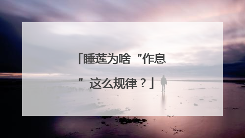 睡莲为啥“作息”这么规律？