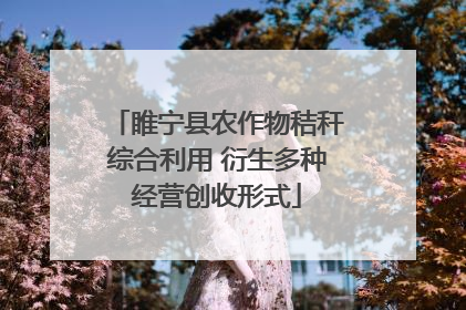 睢宁县农作物秸秆综合利用 衍生多种经营创收形式