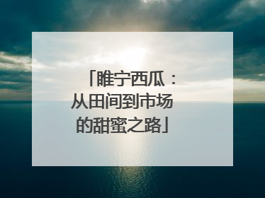 睢宁西瓜：从田间到市场的甜蜜之路