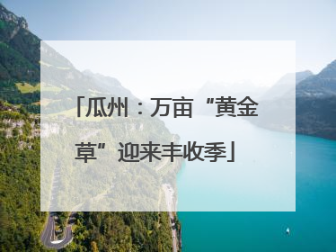 瓜州：万亩“黄金草”迎来丰收季