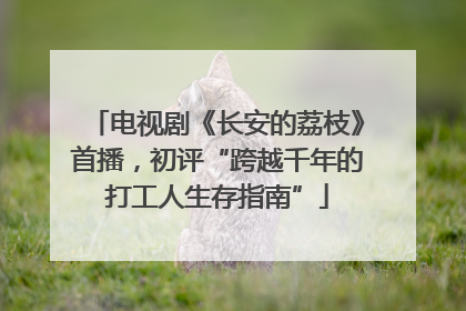电视剧《长安的荔枝》首播，初评“跨越千年的打工人生存指南”