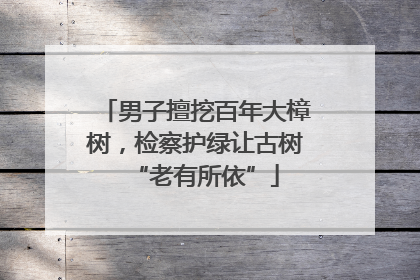 男子擅挖百年大樟树，检察护绿让古树“老有所依”