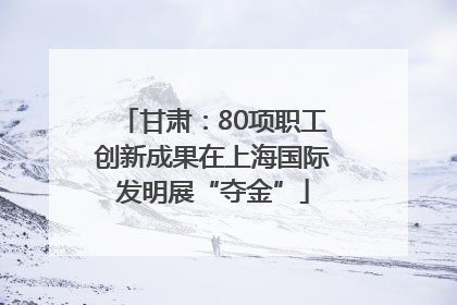 甘肃：80项职工创新成果在上海国际发明展“夺金”