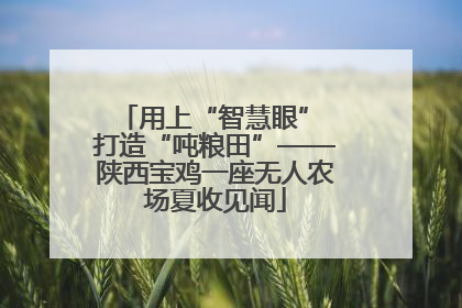 用上“智慧眼” 打造“吨粮田”——陕西宝鸡一座无人农场夏收见闻
