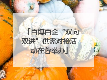 百博百企“双向双进”供需对接活动在蓉举办