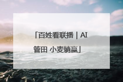 百姓看联播｜AI管田 小麦躺赢