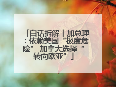 白话拆解丨加总理：依赖美国“极度危险” 加拿大选择“转向欧亚”