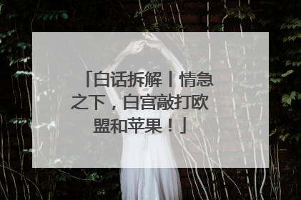 白话拆解丨情急之下，白宫敲打欧盟和苹果！