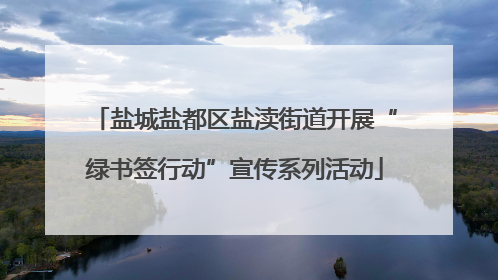盐城盐都区盐渎街道开展“绿书签行动”宣传系列活动