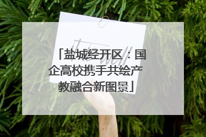 盐城经开区：国企高校携手共绘产教融合新图景
