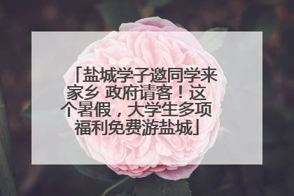 盐城学子邀同学来家乡 政府请客！这个暑假，大学生多项福利免费游盐城