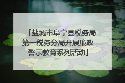 盐城市阜宁县税务局第一税务分局开展廉政警示教育系列活动