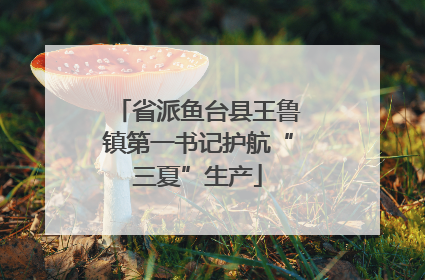 省派鱼台县王鲁镇第一书记护航“三夏”生产