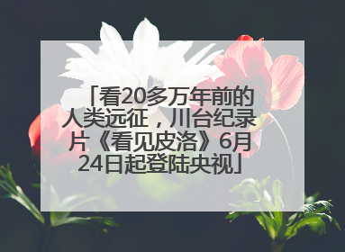 看20多万年前的人类远征，川台纪录片《看见皮洛》6月24日起登陆央视