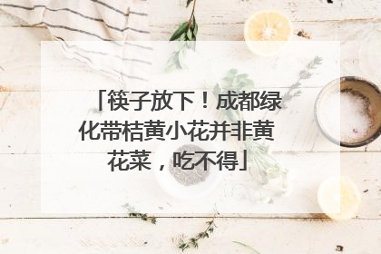 筷子放下！成都绿化带桔黄小花并非黄花菜，吃不得