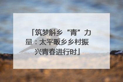 筑梦斛乡“青”力量：太平畈乡乡村振兴青春进行时