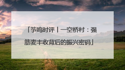 筝鸣时评丨一空桥村：强筋麦丰收背后的振兴密码