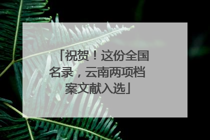 祝贺！这份全国名录，云南两项档案文献入选