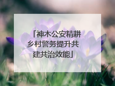 神木公安精耕乡村警务提升共建共治效能