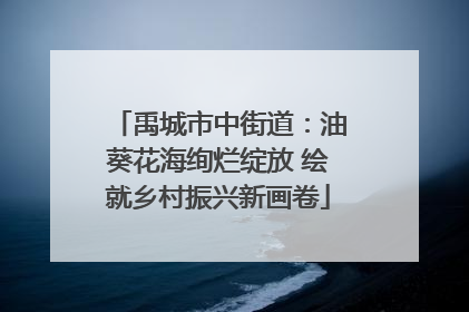 禹城市中街道：油葵花海绚烂绽放 绘就乡村振兴新画卷