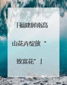 福建屏南高山花卉绽放“致富花”