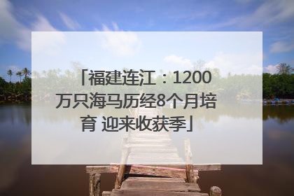 福建连江：1200万只海马历经8个月培育 迎来收获季