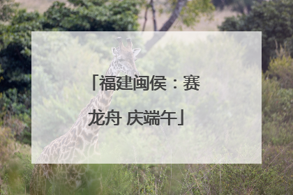 福建闽侯：赛龙舟 庆端午