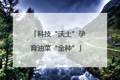 科技“沃土”孕育油菜“金种”