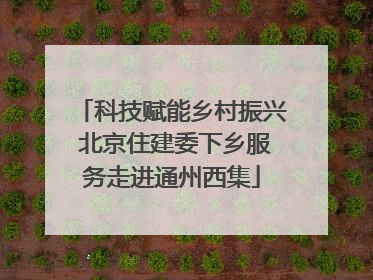 科技赋能乡村振兴 北京住建委下乡服务走进通州西集