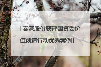 秦港股份获评国资委价值创造行动优秀案例
