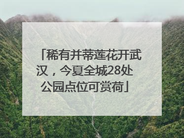 稀有并蒂莲花开武汉，今夏全城28处公园点位可赏荷