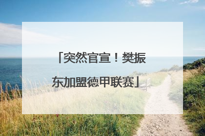 突然官宣！樊振东加盟德甲联赛