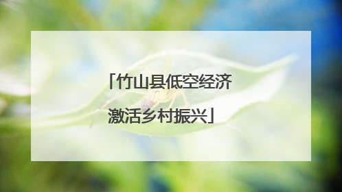 竹山县低空经济激活乡村振兴
